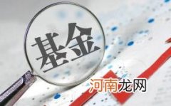 2022基金跌的这么厉害要不要退出