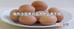 电热水壶煮鸡蛋为什么煮不熟