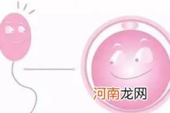 女性一般什么时候是排卵期