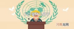529是什么日子