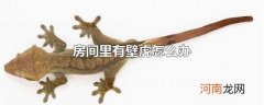 房间里有壁虎怎么办