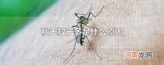秋天蚊子多是什么原因