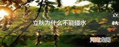 立秋为什么不能碰水