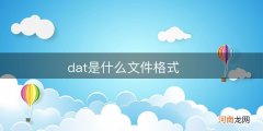 dat是什么文件格式