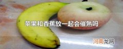 苹果和香蕉放一起会催熟吗