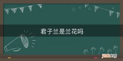 君子兰是兰花吗