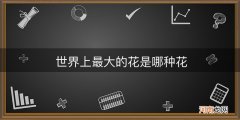 世界上最大的花是哪种花