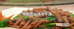 海肠怎么洗才干净