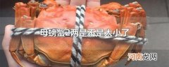 母螃蟹2两是不是太小了