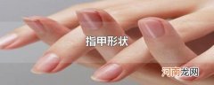 指甲形状