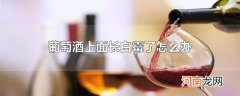 葡萄酒上面长白霉了怎么办