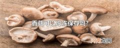香菇可以冷冻保存吗?