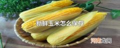 新鲜玉米怎么保存