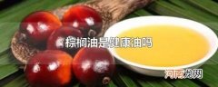 棕榈油是健康油吗