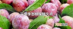 三华李怎样保鲜久点