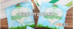 吸湿袋为什么很快有水