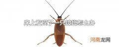 床上发现了一只蟑螂怎么办
