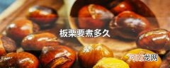 板栗要煮多久
