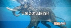 大象会游泳吗百科