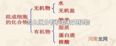 怎么区分有机物和无机物