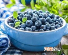 蓝莓的好处以及食用的禁忌