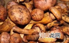 松蘑和土豆片的做法