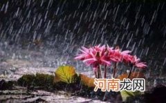 梅雨季节的梅是什么意思