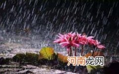 梅雨有什么特点