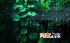 梅雨季节注意哪些