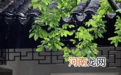 梅雨季节什么时候