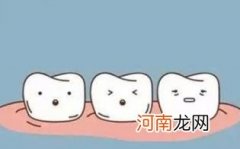 乳牙和恒牙的对应