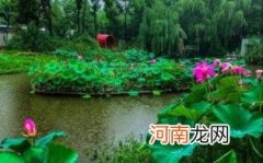 梅雨季节何时结束