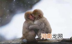 棉裤太肥怎么改瘦一点