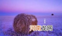 2022南方立冬和北方立冬时间一样吗