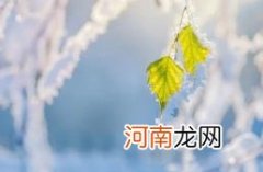 2022年立冬后多久开始很冷