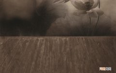 北京国卫生物科技有限公司怎么样 中国合法干细胞公司有哪些