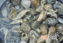 花蛤当天不吃如何保存