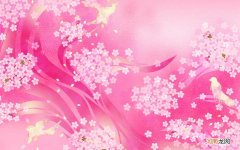 类风湿关节炎治疗药物哪种好 类风湿吃什么药最有效