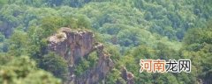 白音山在甘肃天水什么地方