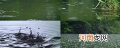 下雨的水是从哪里来的
