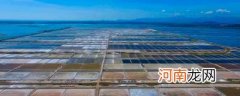 中国四大盐场