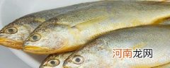 梅鱼和小黄鱼一样吗