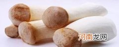 长长的蘑菇是什么菇