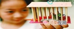 蝈蝈怎么抓