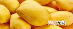 圆形芒果是什么芒果