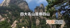 中国的四大名山是什么山