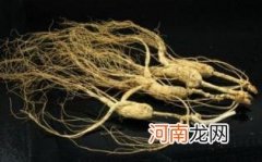 野山参不能和什么同吃