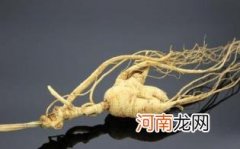 东北野山参怎么吃