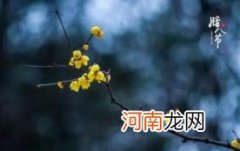 腊八节烧纸好不好