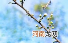 2023年闰2月会冷的久吗